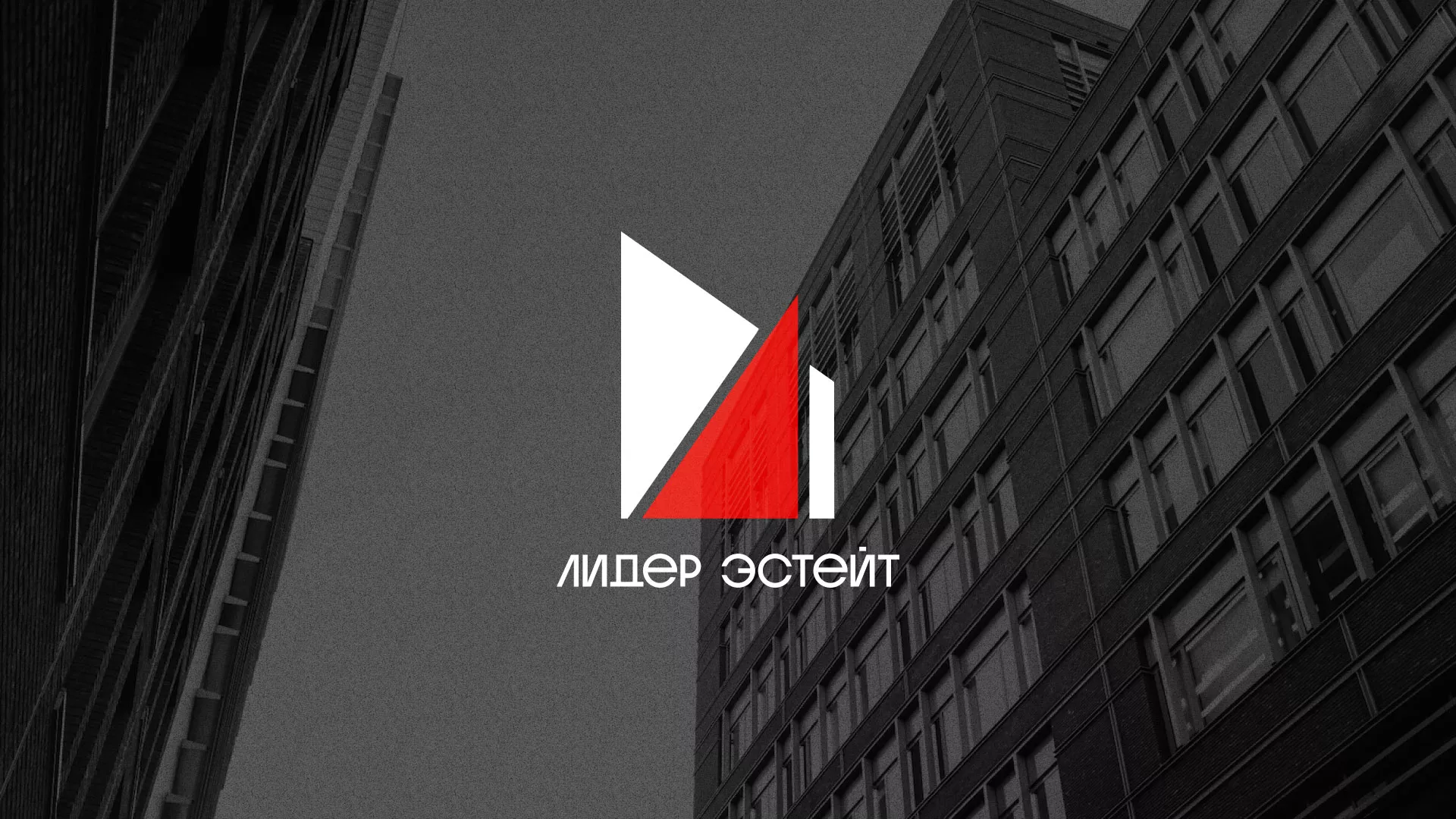 Сделали логотип для агентства недвижимости «Лидер Эстейт» в Балахне